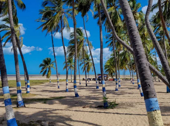 Mejores Páginas Contactos Riohacha 2025 para ligar – Encuentros en Colombia