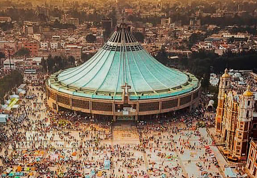 Páginas para ligar Guadalupe maduras, casadas y transexuales en 2026