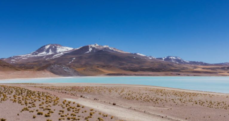 como encontrar singles en Calama