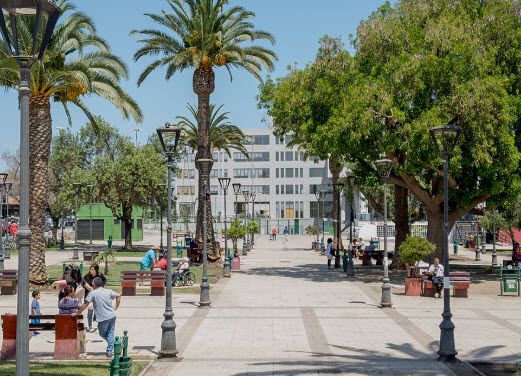 Páginas para ligar Quilpué maduras, casadas y transexuales en 2026 – Chile